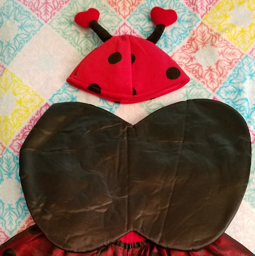 Costume - Picture 3 of 3